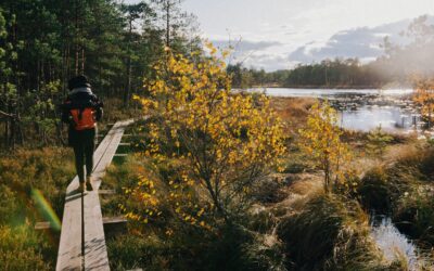 Why Estonia is Perfect for Digital Nomads and Remote Workers