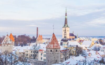 Упрощенное закрытие компании в Эстонии